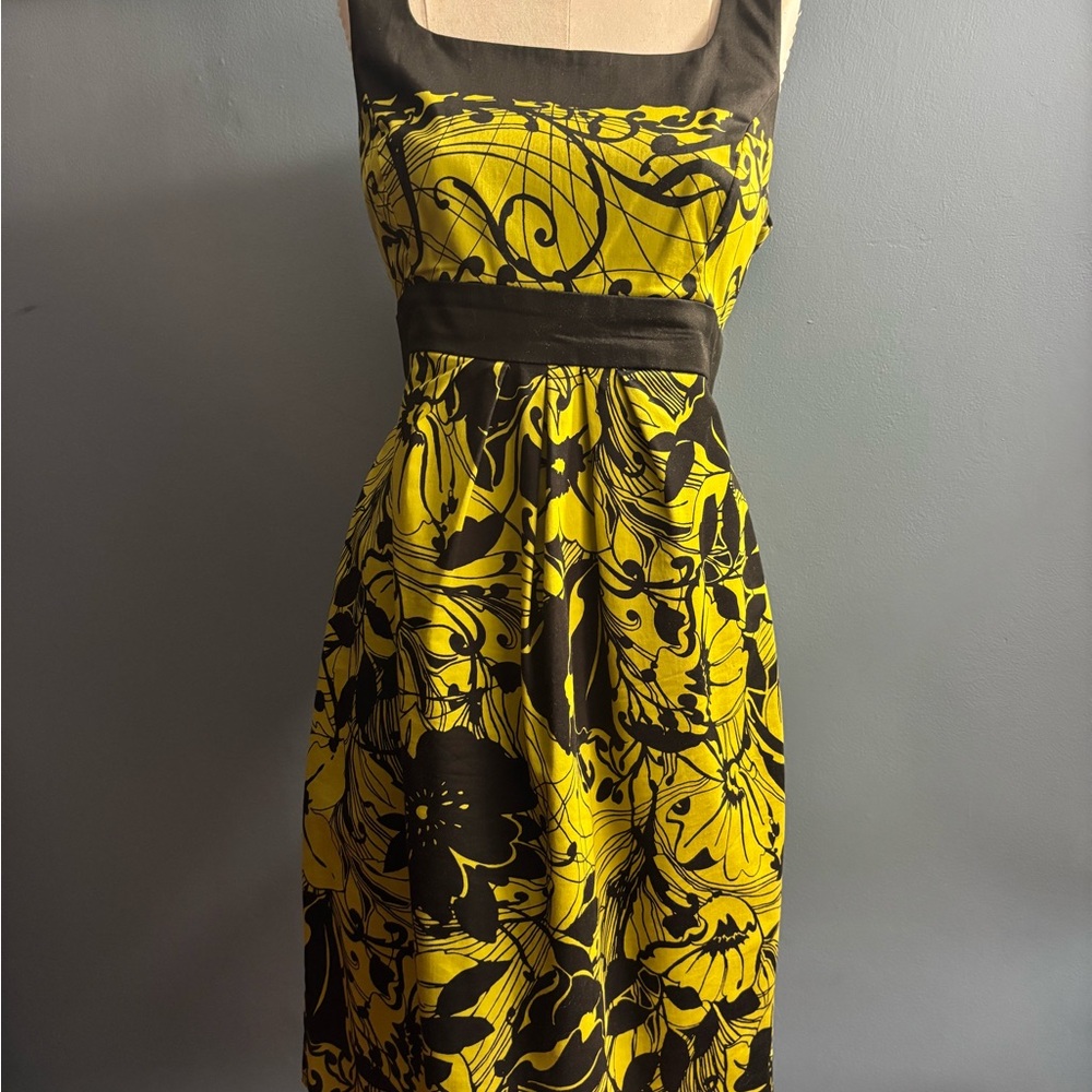 Evan Picone Light Green and Black Sleeveless Midi Sundress